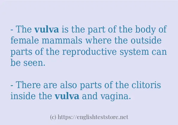In-sentence examples of vulva