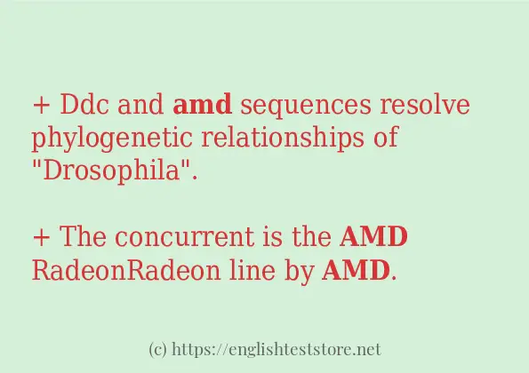 In sentence use of amd