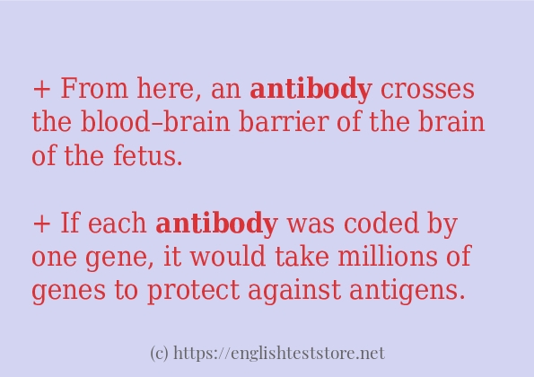 In sentence use of antibody