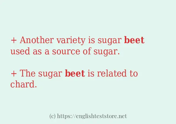 In sentence use of beet