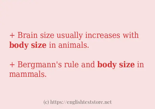 In sentence use of body size