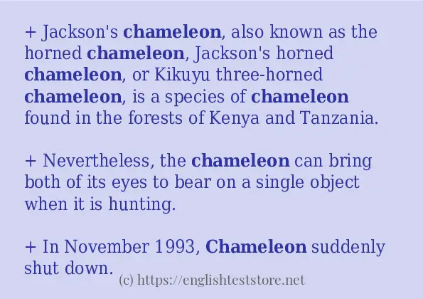 In sentence use of chameleon