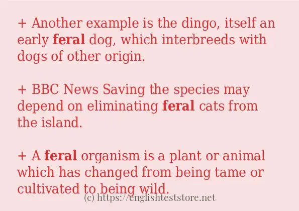 In sentence use of feral