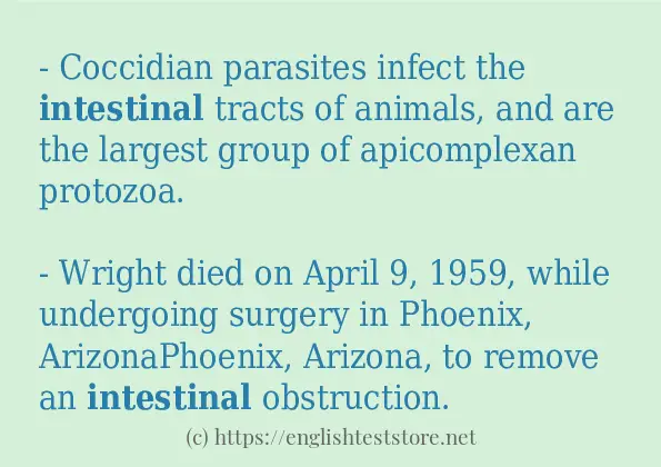 In sentence use of intestinal