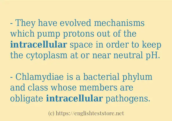 In sentence use of intracellular