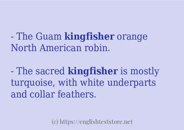 In sentence use of kingfisher