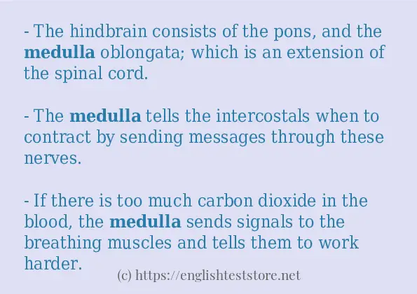 In sentence use of medulla