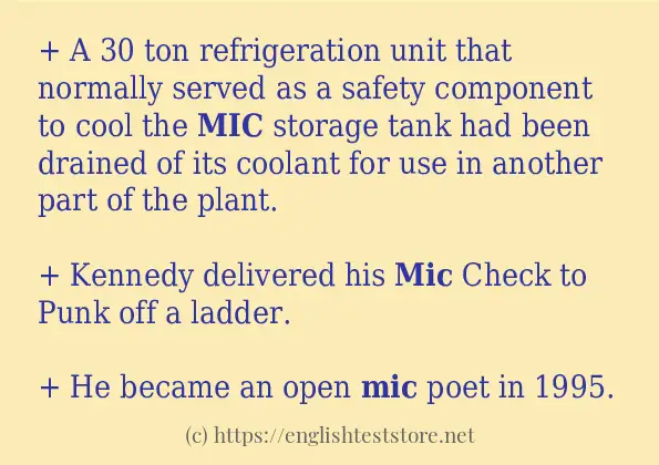 In sentence use of mic