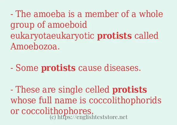 In sentence use of protists