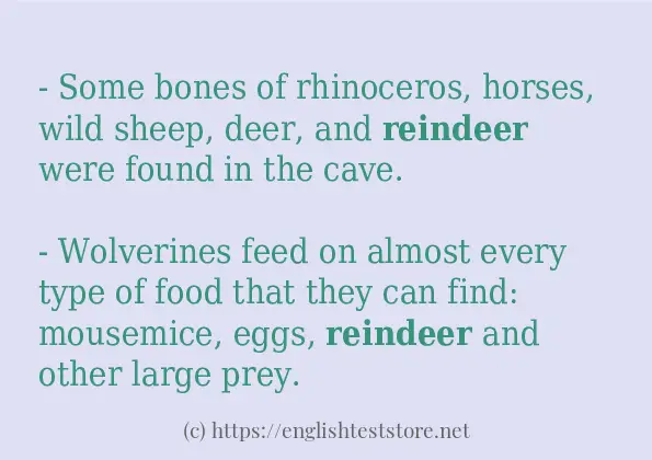 In sentence use of reindeer