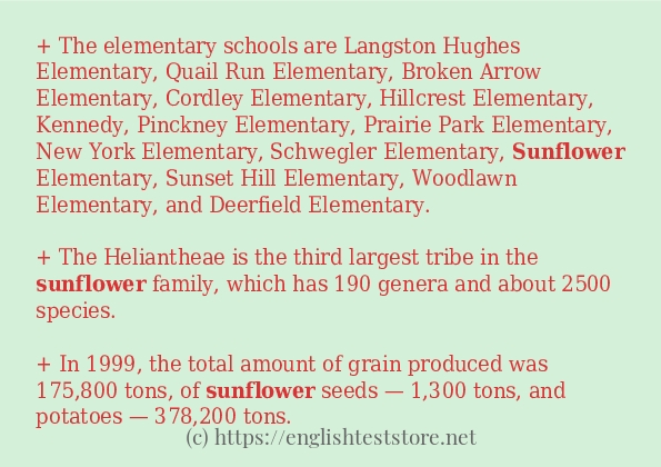 In sentence use of sunflower