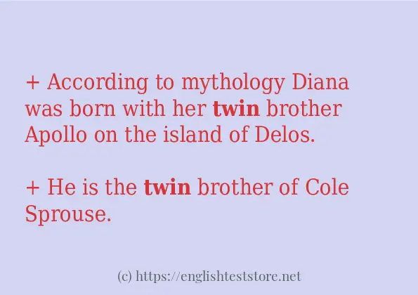 In sentence use of twin