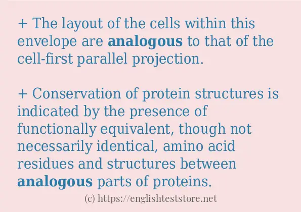 Make sentence of analogous