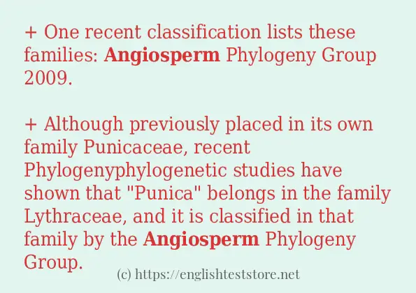 Make sentence of angiosperm