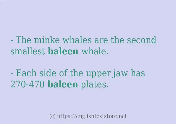 Make sentence of baleen