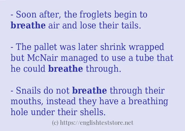 Make Sentence Of breathe EnglishTestStore Blog