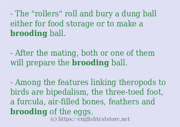 make-sentence-of-brooding-englishteststore-blog