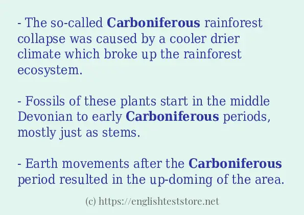 Make sentence of carboniferous