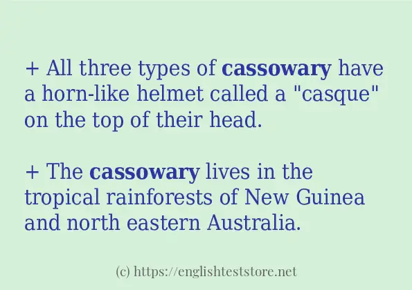 Make sentence of cassowary Make sentence of cassowary