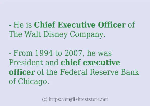 Make sentence of chief executive officer