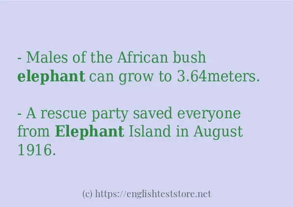 Make sentence of elephant