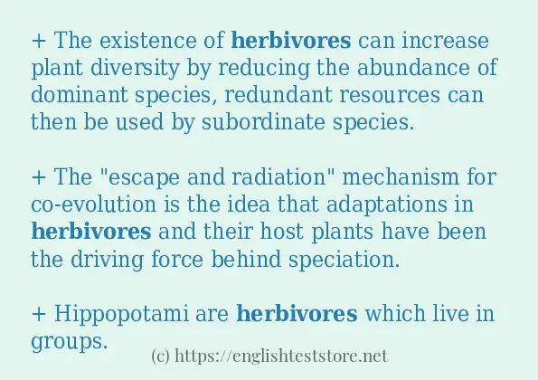 Make sentence of herbivores