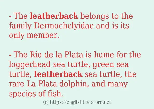 Make sentence of leatherback