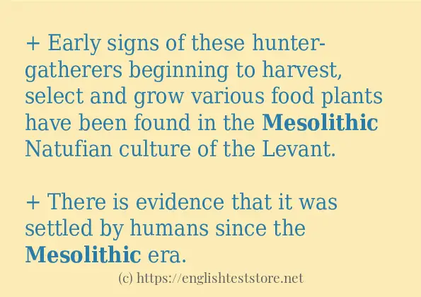 Make sentence of mesolithic