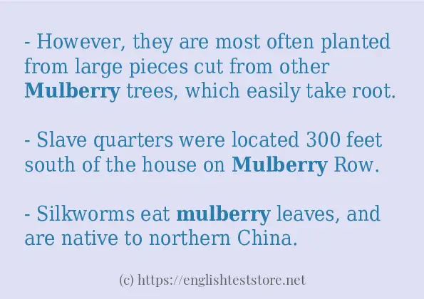 Make sentence of mulberry