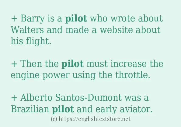 Make sentence of pilot