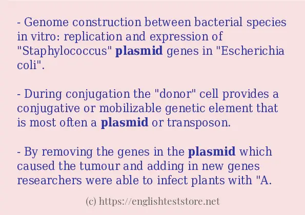 Make sentence of plasmid