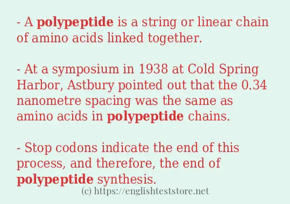 Make sentence of polypeptide