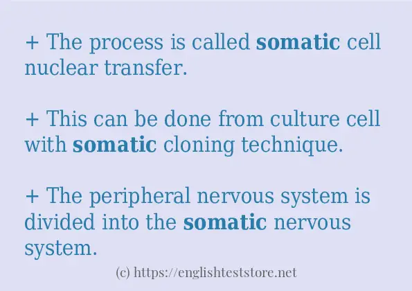 Make sentence of somatic