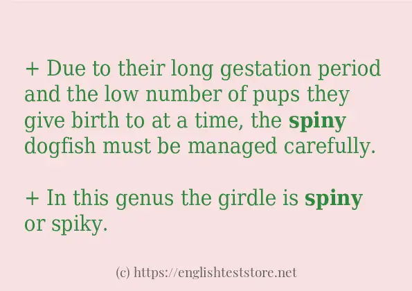 Make sentence of spiny
