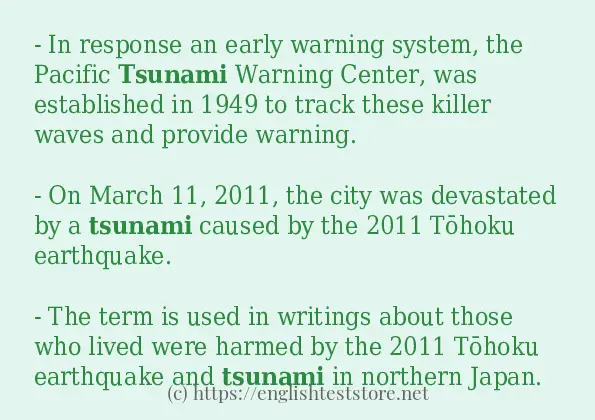 Make sentence of tsunami