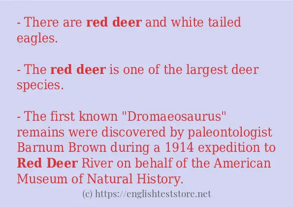 Red deer how to use in sentences