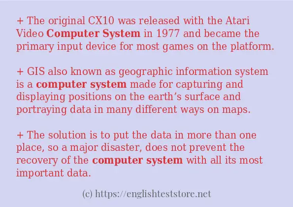 Sentence example of Computer system