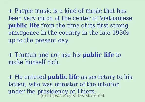 Sentence example of Public life