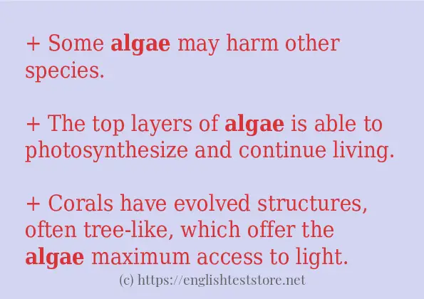 Sentence example of algae