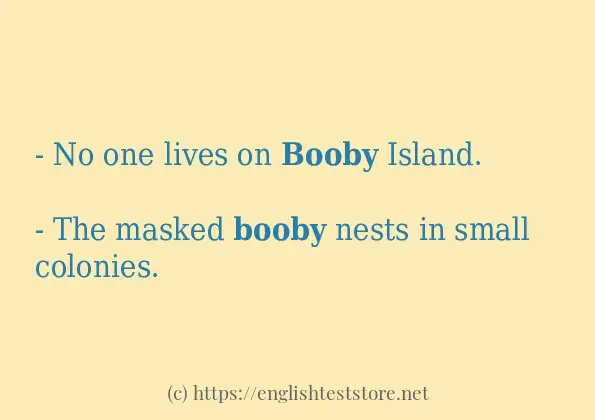 Sentence example of booby