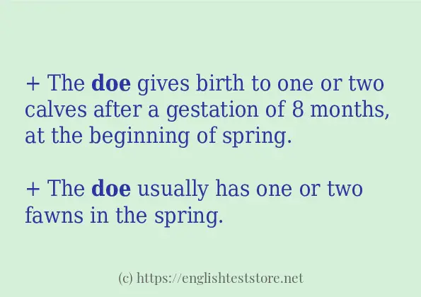 Sentence example of doe