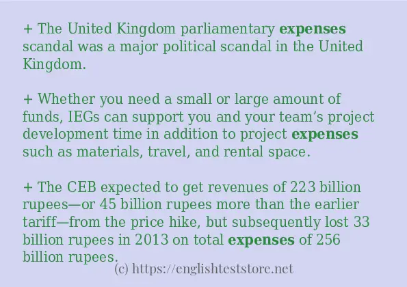 Sentence example of expenses