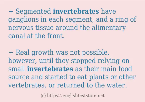 Sentence example of invertebrates