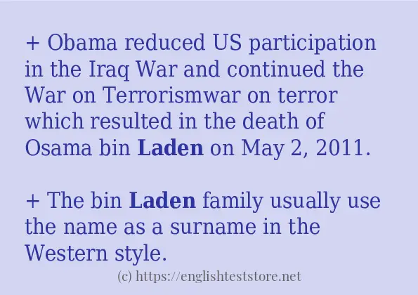 Sentence example of laden