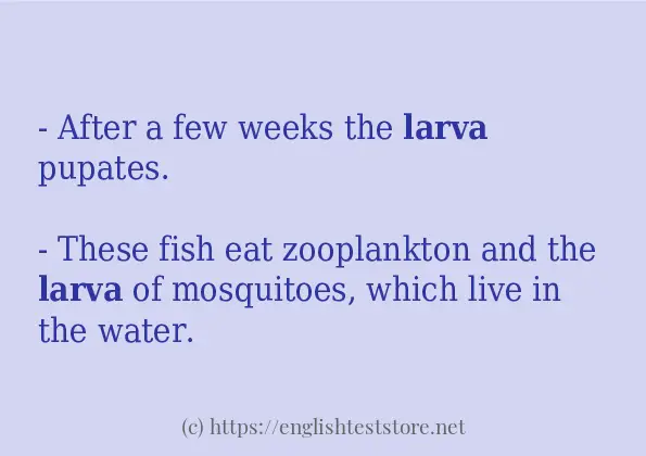 Sentence example of larva