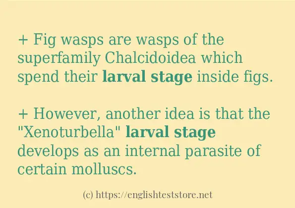 Sentence example of larval stage