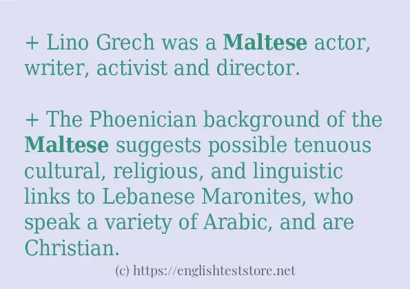 Sentence example of maltese