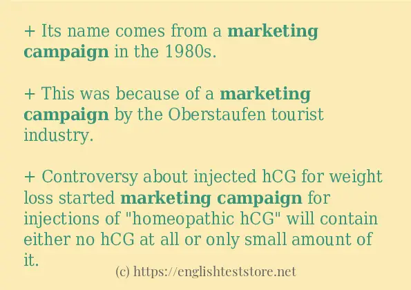 Sentence example of marketing campaign