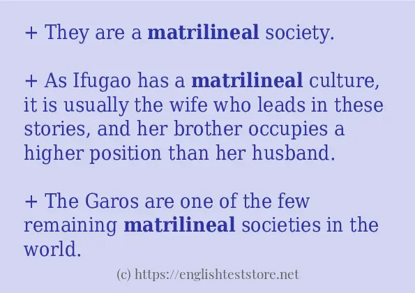 Sentence example of matrilineal