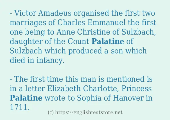 Sentence example of palatine